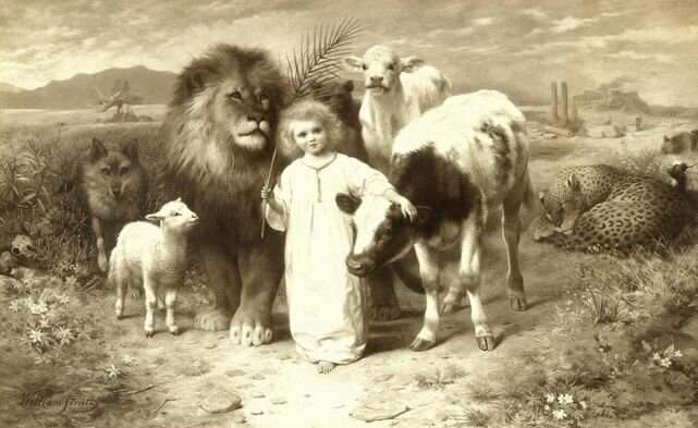 "I będzie wilk gościem jagnięcia, a lampart będzie leżał obok koźlęcia, cielę i lwiątko razem paść się będą, a mały chłopiec je poprowadzi" - Proroctwo Izajasza 11:6
